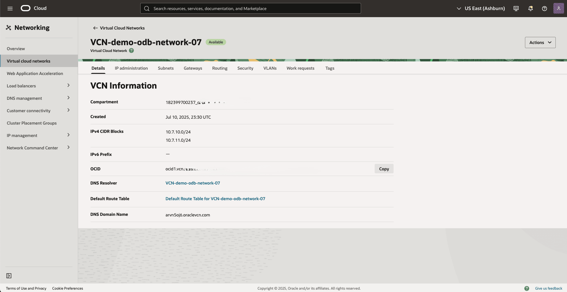 This screenshot shows how to obtain DNS resolver link.