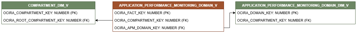 Relationship diagram showing the fact table, APPLICATION_PERFORMANCE_MONITORING_DOMAIN_FACT_V.