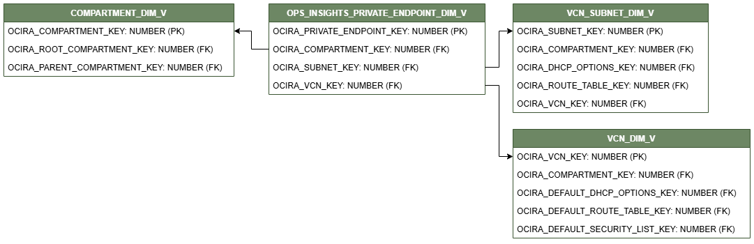 Relationship diagram showing the dimension table, OPS_INSIGHTS_PRIVATE_ENDPOINT_DIM_V.