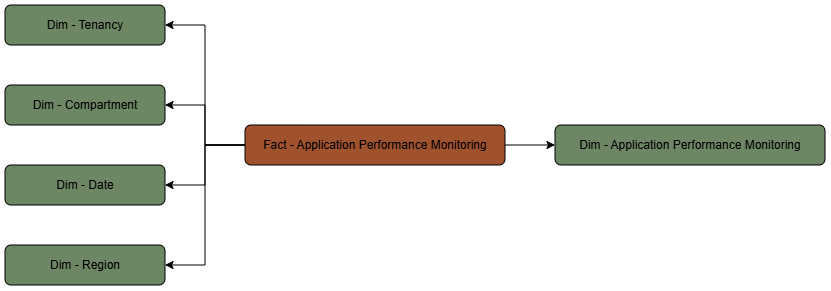 Fact table Application Performance Monitoring connected to five dimension tables.