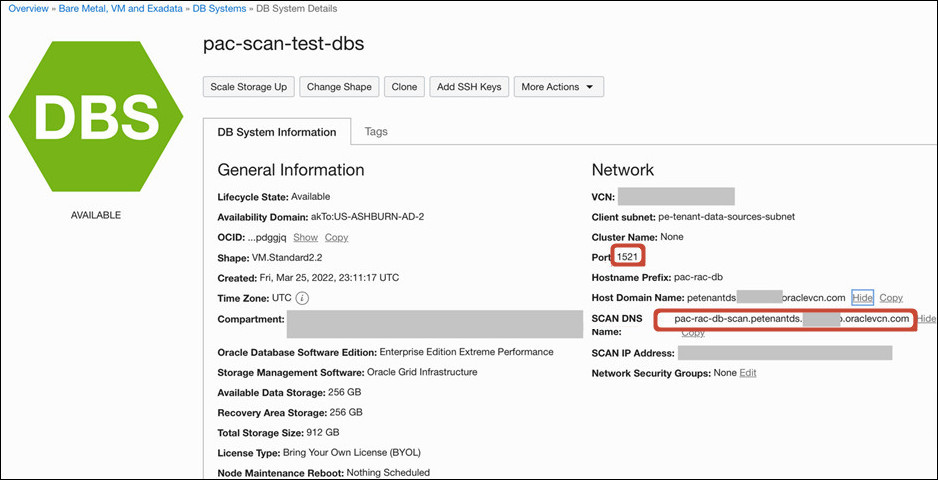 SCAN host and port SCAN host and port