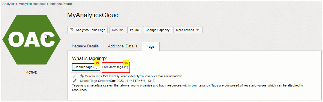Description of oac_console_ux_tag.jpg follows