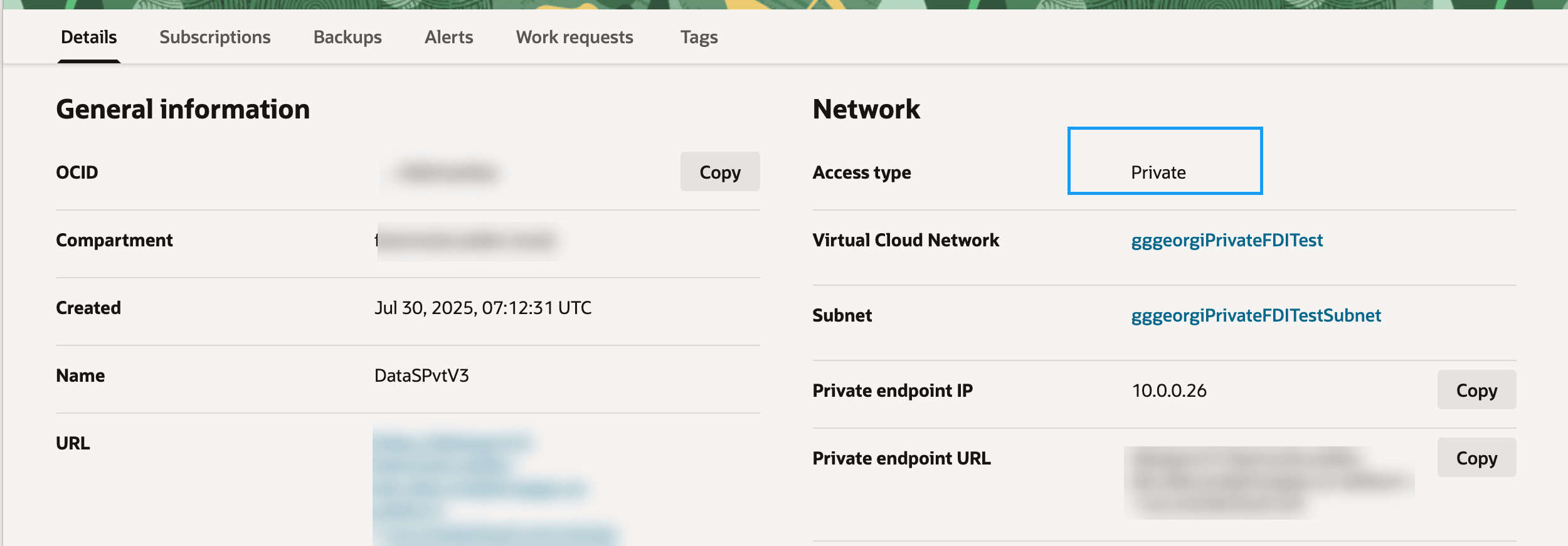 Description of fawag-fdi-pvt-instance-details_oak.png follows