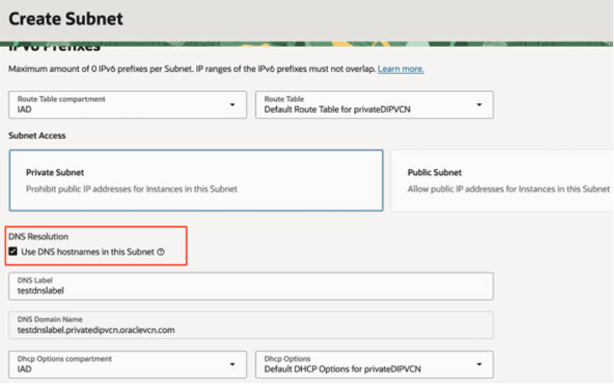 Description of fawag-fdi-pvt-instance-dnshostname_subnet_oak.png follows