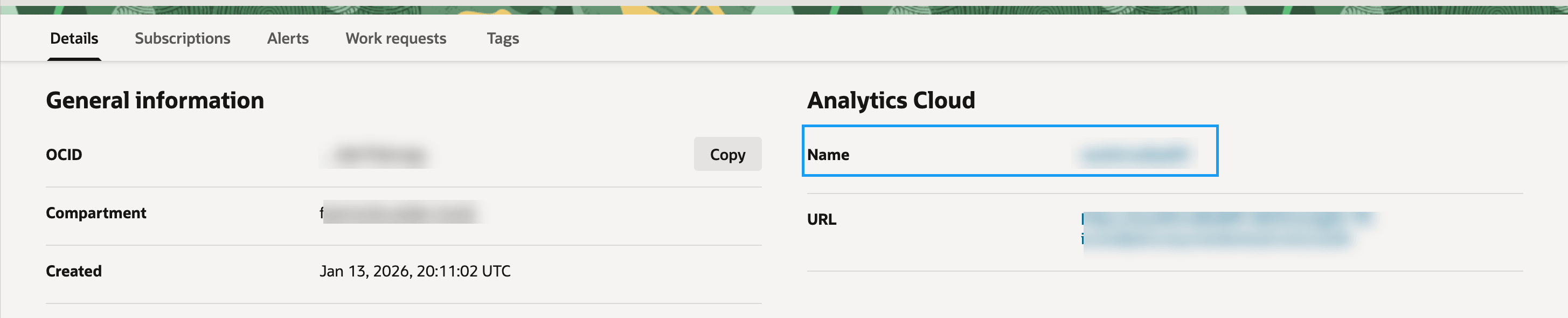 Description of fawag-instance-detail-page-oac-oak.png follows
