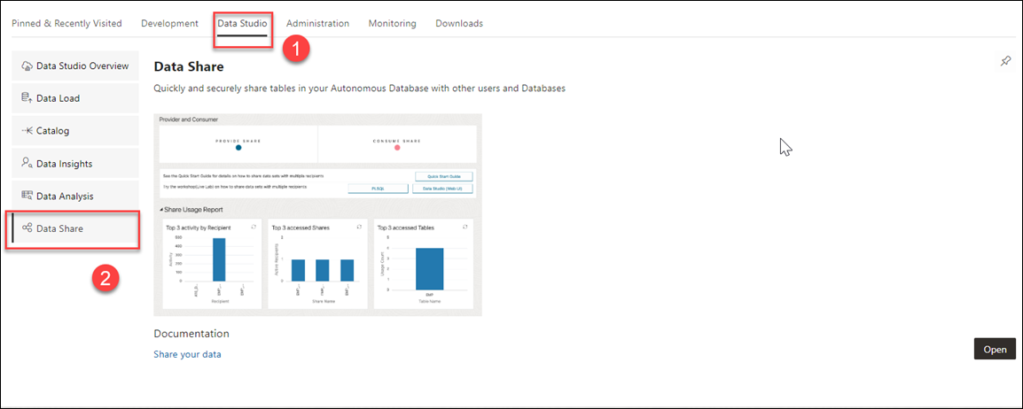 Description of data-share-pane.png follows