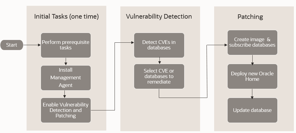 Vulnerability Detection and Patching Flow