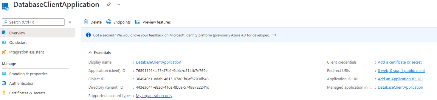 Description of azure-client-id.png follows