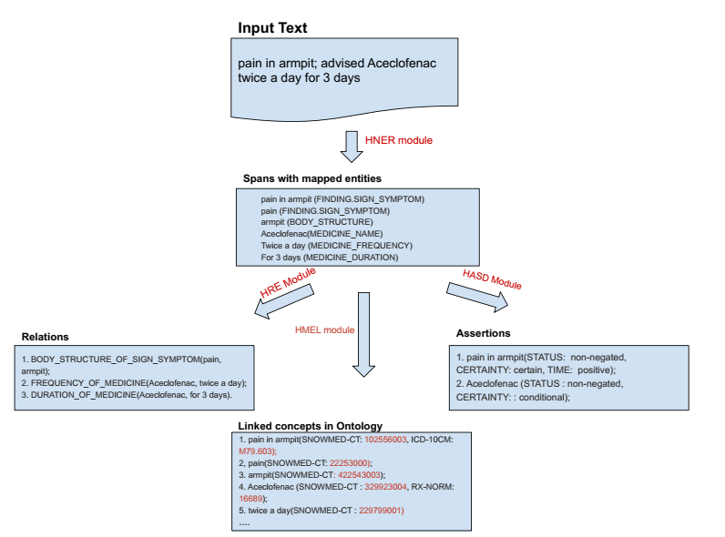 Specific input and outputs on Health NLP pipeline