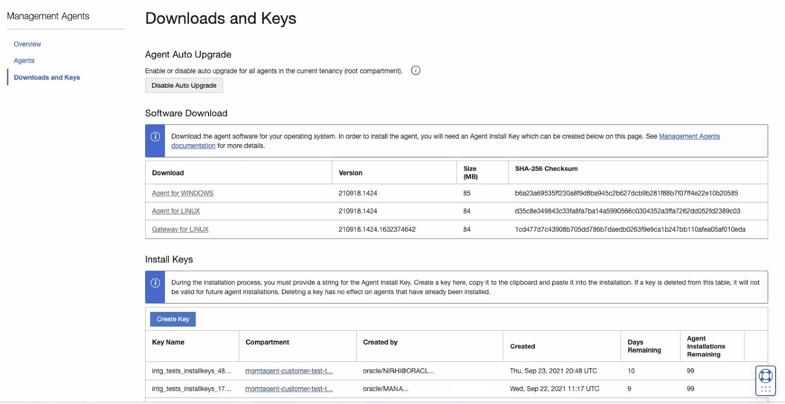 Downloads and Keys page that shows the Software Download at the top with a link to download the software file.