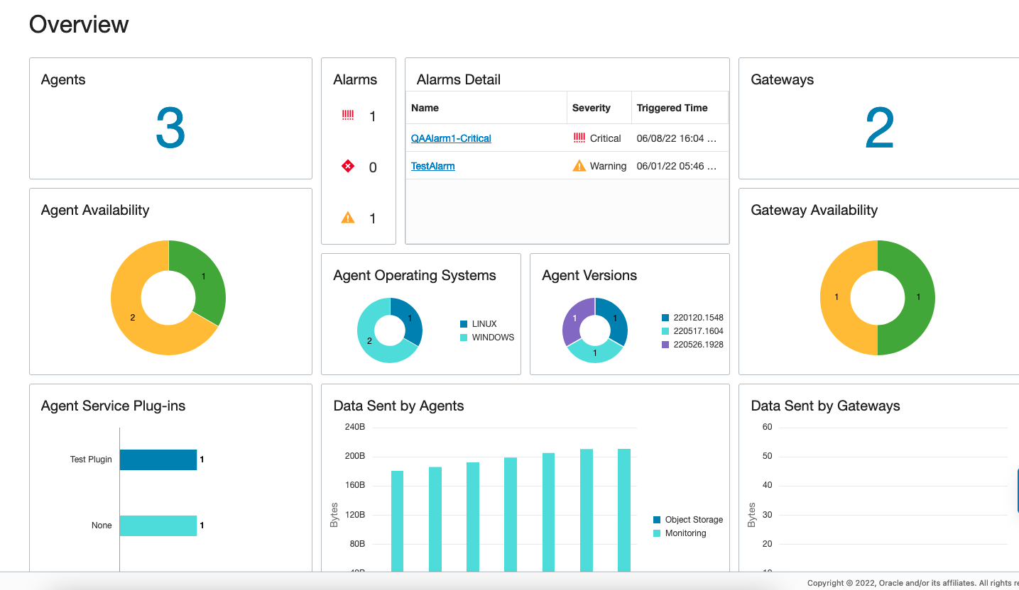 Overview page that shows information about management agents installed.