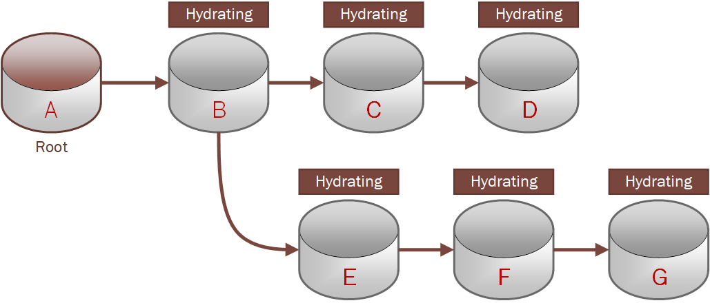 Click to expand This diagram shows a clone tree hydrating.