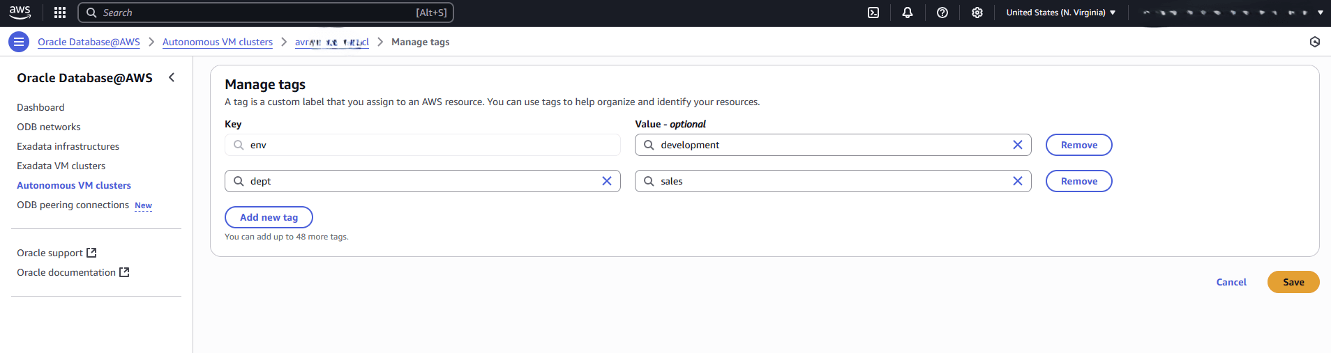 This screenshot shows the last part of managing tags in ODB Peering Connections. This screenshot shows the last part of managing tags in ODB Peering Connections.